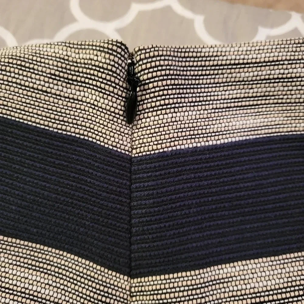 LOFT Ann Taylor Skirt Blue Silver Stripe Size 6